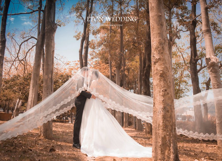 草原婚紗照,草原森林拍婚紗,森系婚紗攝影